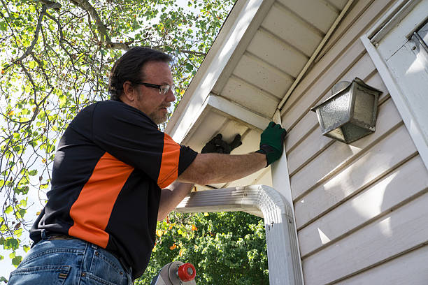 Best Storm Damage Siding Repair  in Presque Isle, ME